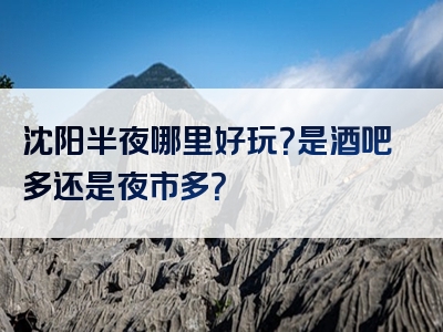 沈阳半夜哪里好玩？是酒吧多还是夜市多？