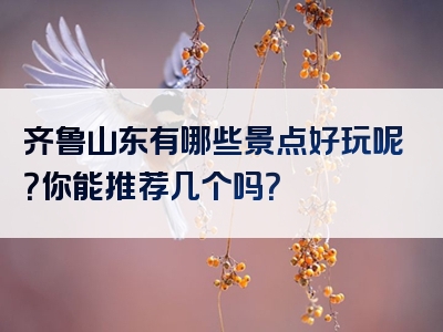 齐鲁山东有哪些景点好玩呢？你能推荐几个吗？