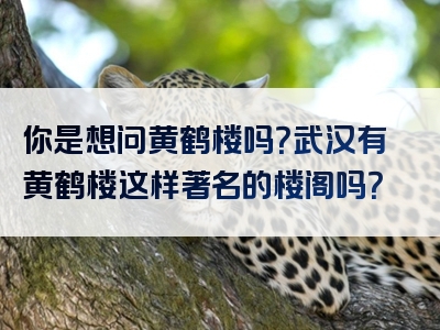 你是想问黄鹤楼吗？武汉有黄鹤楼这样著名的楼阁吗？