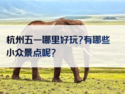 杭州五一哪里好玩？有哪些小众景点呢？
