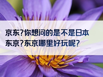 京东？你想问的是不是日本东京？东京哪里好玩呢？