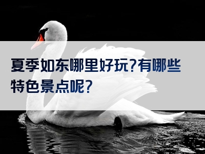 夏季如东哪里好玩？有哪些特色景点呢？