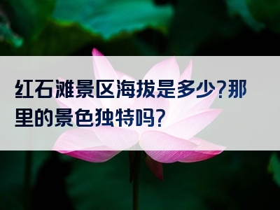 红石滩景区海拔是多少？那里的景色独特吗？