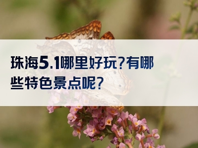 珠海5.1哪里好玩？有哪些特色景点呢？