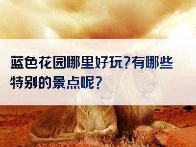 蓝色花园哪里好玩？有哪些特别的景点呢？