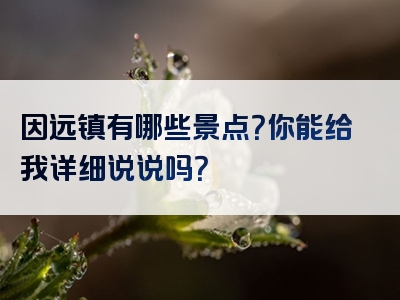 因远镇有哪些景点？你能给我详细说说吗？