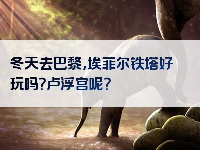 冬天去巴黎，埃菲尔铁塔好玩吗？卢浮宫呢？