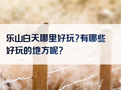乐山白天哪里好玩？有哪些好玩的地方呢？
