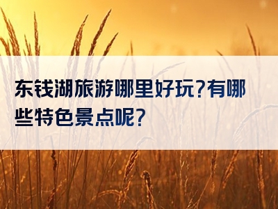 东钱湖旅游哪里好玩？有哪些特色景点呢？