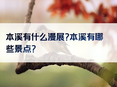 本溪有什么漫展？本溪有哪些景点？