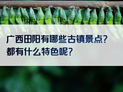 广西田阳有哪些古镇景点？都有什么特色呢？