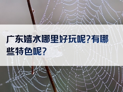 广东嬉水哪里好玩呢？有哪些特色呢？
