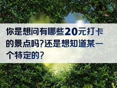 你是想问有哪些20元打卡的景点吗？还是想知道某一个特定的？