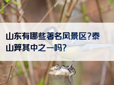 山东有哪些著名风景区？泰山算其中之一吗？
