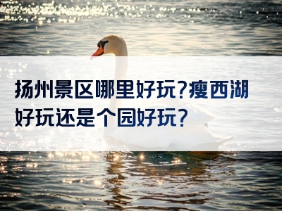 扬州景区哪里好玩？瘦西湖好玩还是个园好玩？