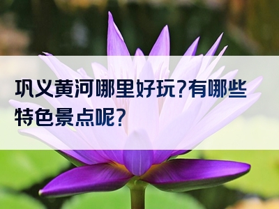 巩义黄河哪里好玩？有哪些特色景点呢？