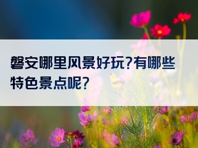 磐安哪里风景好玩？有哪些特色景点呢？