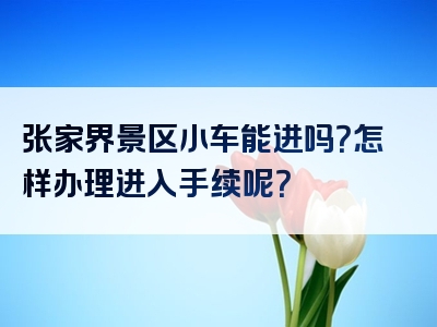 张家界景区小车能进吗？怎样办理进入手续呢？