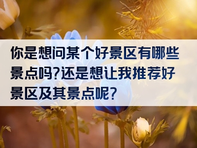 你是想问某个好景区有哪些景点吗？还是想让我推荐好景区及其景点呢？