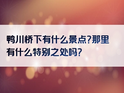 鸭川桥下有什么景点？那里有什么特别之处吗？