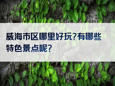威海市区哪里好玩？有哪些特色景点呢？