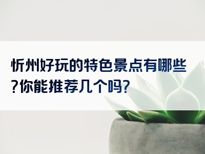 忻州好玩的特色景点有哪些？你能推荐几个吗？