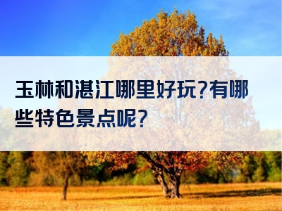 玉林和湛江哪里好玩？有哪些特色景点呢？