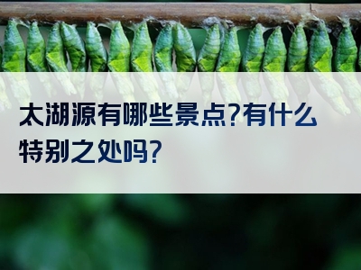 太湖源有哪些景点？有什么特别之处吗？