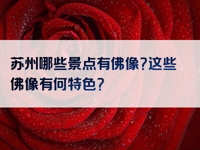 苏州哪些景点有佛像？这些佛像有何特色？