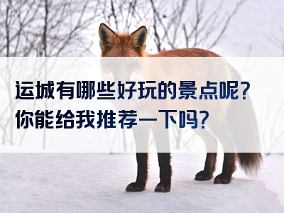 运城有哪些好玩的景点呢？你能给我推荐一下吗？