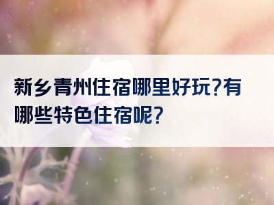 新乡青州住宿哪里好玩？有哪些特色住宿呢？
