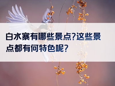 白水寨有哪些景点？这些景点都有何特色呢？