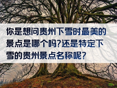 你是想问贵州下雪时最美的景点是哪个吗？还是特定下雪的贵州景点名称呢？