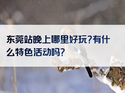 东莞站晚上哪里好玩？有什么特色活动吗？