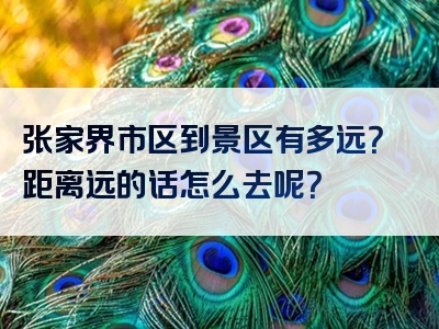张家界市区到景区有多远？距离远的话怎么去呢？