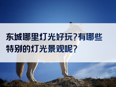 东城哪里灯光好玩？有哪些特别的灯光景观呢？