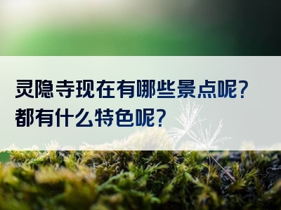 灵隐寺现在有哪些景点呢？都有什么特色呢？