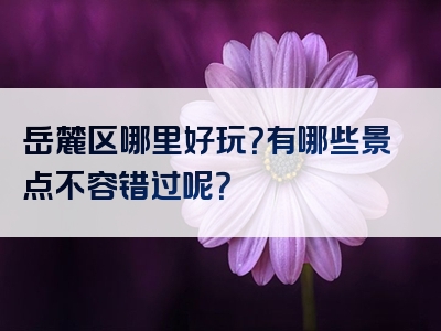岳麓区哪里好玩？有哪些景点不容错过呢？