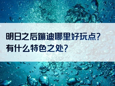 明日之后蹦迪哪里好玩点？有什么特色之处？