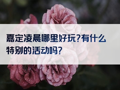 嘉定凌晨哪里好玩？有什么特别的活动吗？