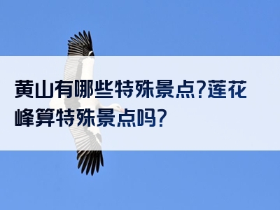 黄山有哪些特殊景点？莲花峰算特殊景点吗？