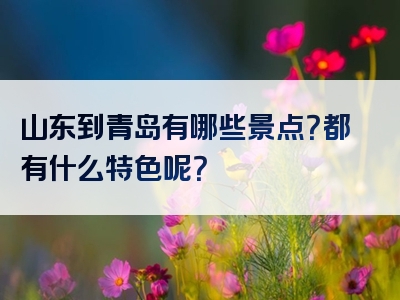 山东到青岛有哪些景点？都有什么特色呢？