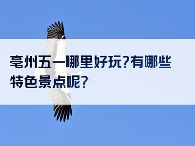亳州五一哪里好玩？有哪些特色景点呢？