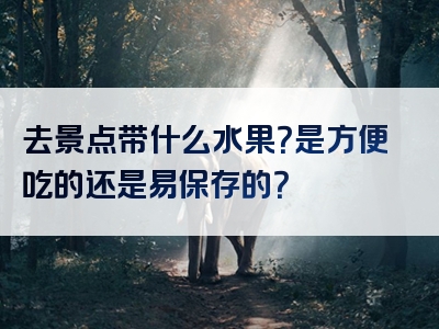 去景点带什么水果？是方便吃的还是易保存的？
