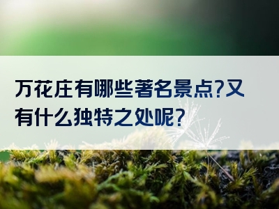万花庄有哪些著名景点？又有什么独特之处呢？
