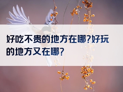 好吃不贵的地方在哪？好玩的地方又在哪？