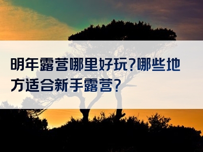 明年露营哪里好玩？哪些地方适合新手露营？