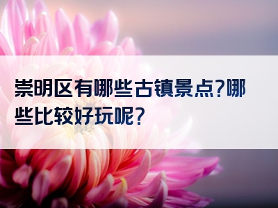 崇明区有哪些古镇景点？哪些比较好玩呢？