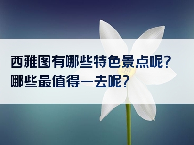 西雅图有哪些特色景点呢？哪些最值得一去呢？