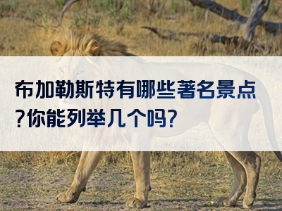 布加勒斯特有哪些著名景点？你能列举几个吗？